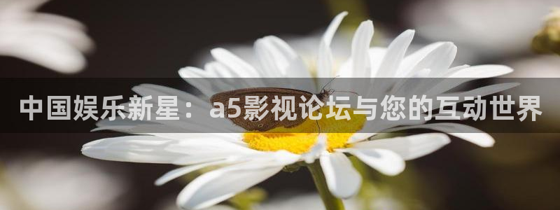西瓜免费电影