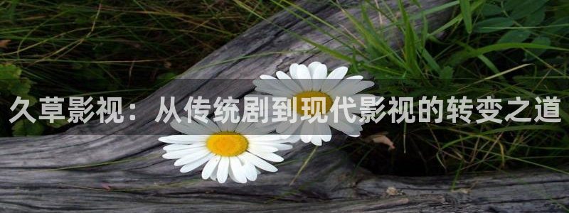 西瓜在线影音