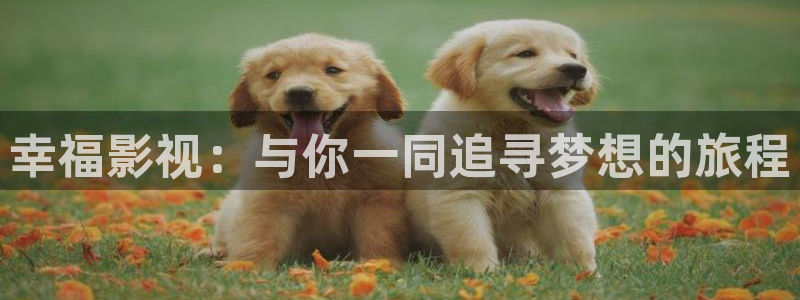 哈密瓜西瓜