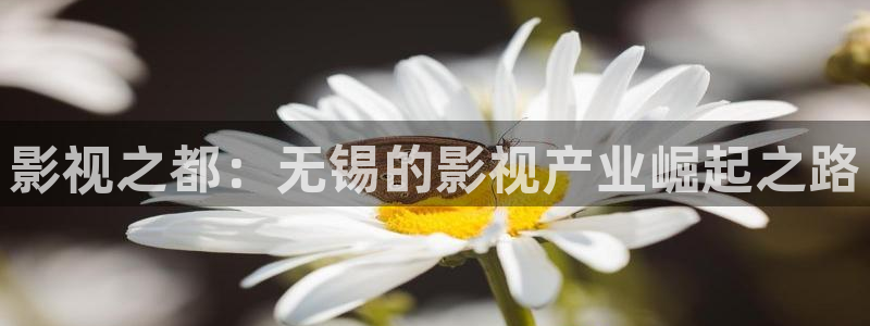 西瓜免费电影网