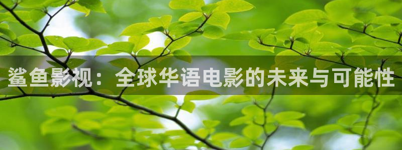 西瓜网在线免费观看
