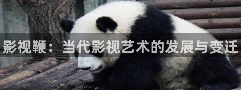 在线观看西瓜影院