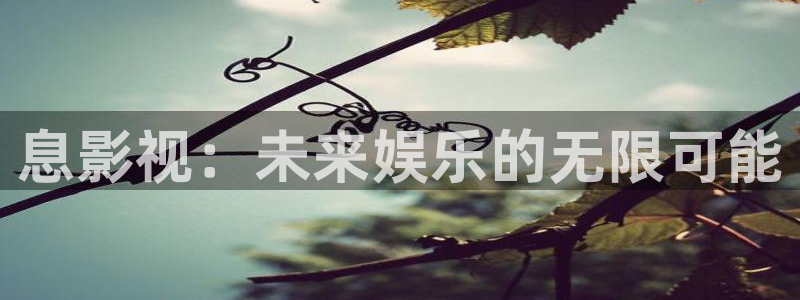 西瓜网免费观看电视剧