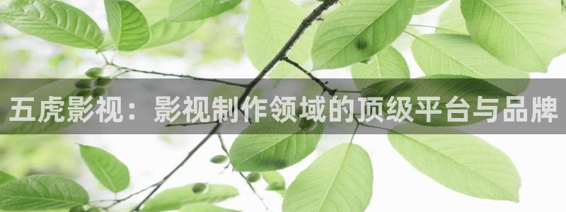 少年派二免费观看西瓜影院