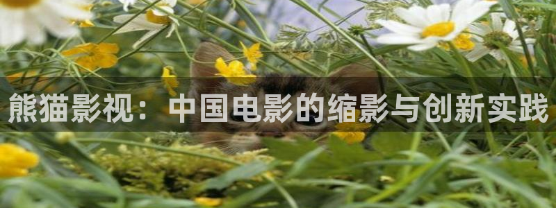 西瓜黄色片