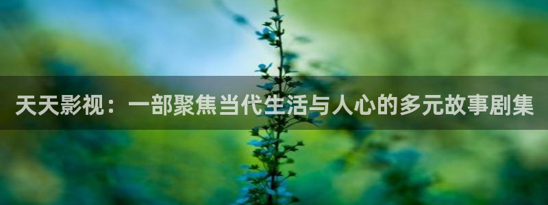 我们不能是朋友西瓜免费观看