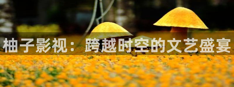御赐小仵作全集免费观看西瓜