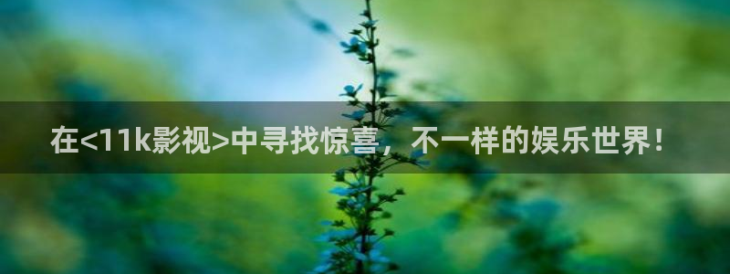 大西瓜影院av