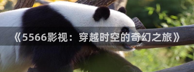 亲爱的生命全集免费观看西瓜