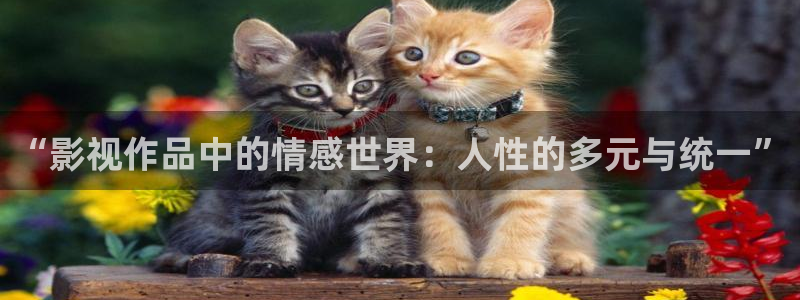 西瓜天狼影院2024电视剧在线观看网站