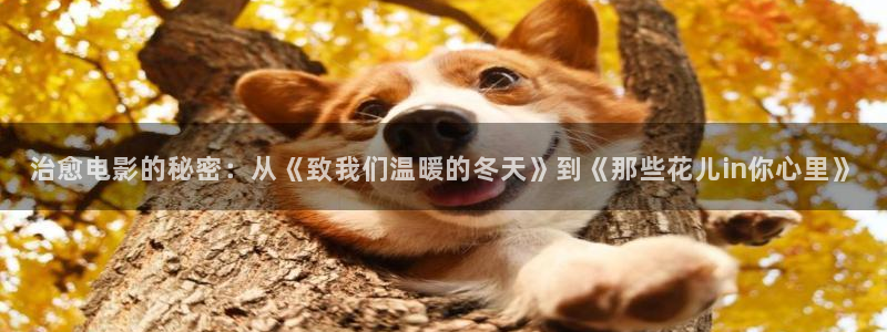 浙江台州西瓜