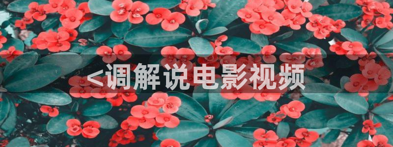 影视大全西瓜