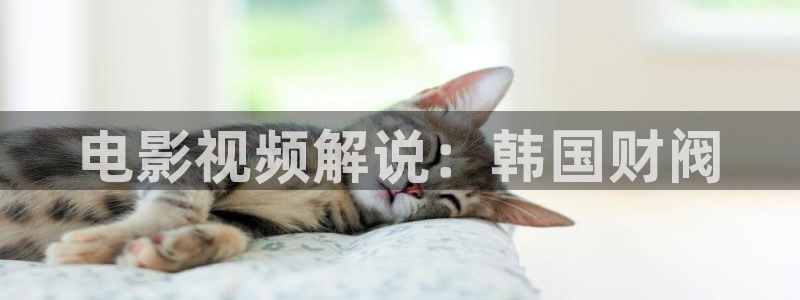 沉香如屑免费观看全集西瓜