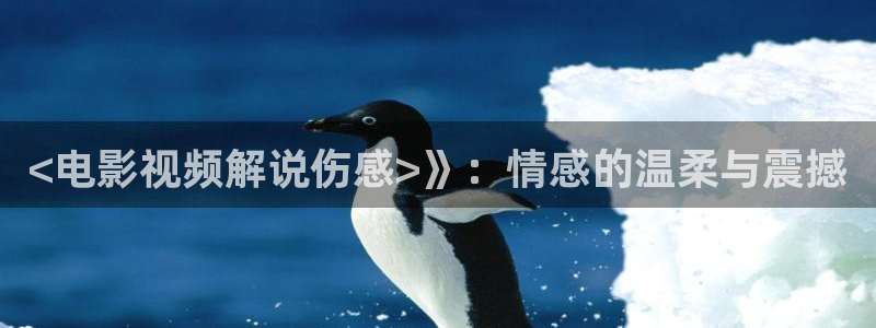 雍正王朝免费观看西瓜
