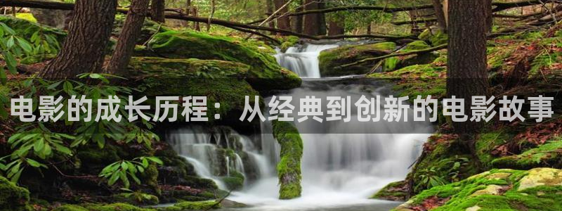的西瓜