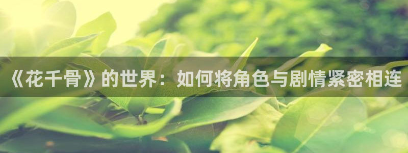 西瓜电视剧