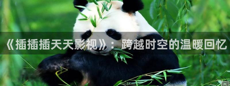 十九岁完整版在线观看西瓜