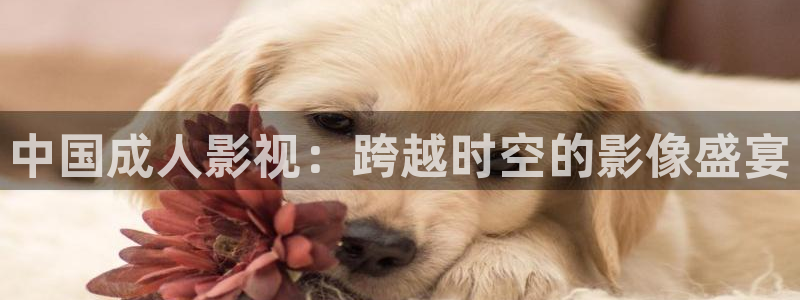 西瓜视频入口
