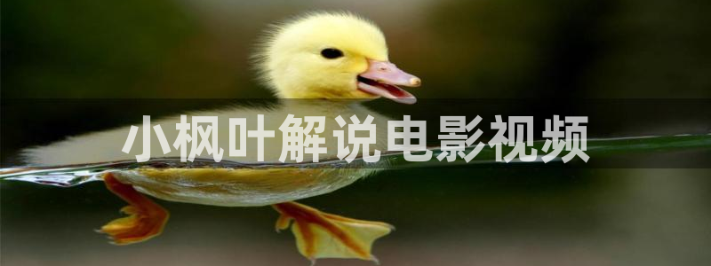 西瓜天津