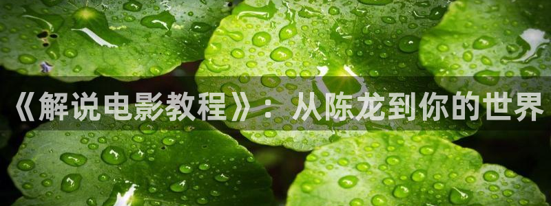 西瓜影院网页版
