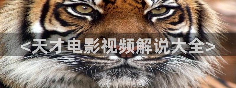 西瓜视频最新版