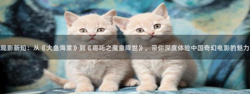 西瓜在线电视剧观看