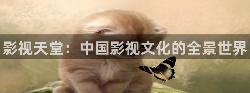大宋宫词免费观看西瓜
