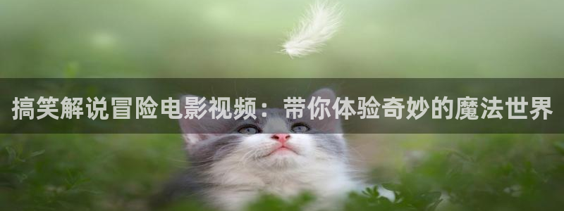 我在北京等你免费观看西瓜