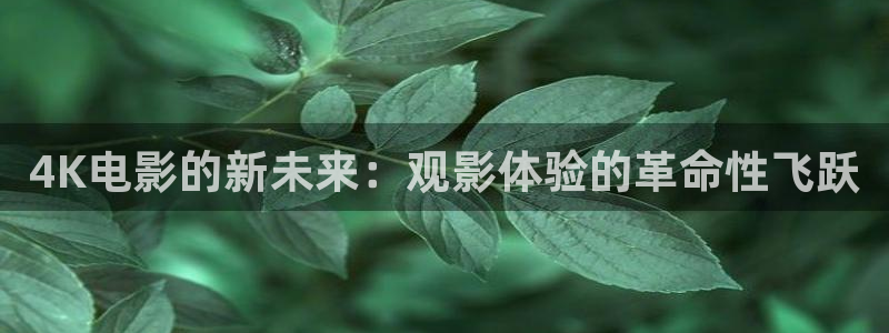 洛宁西瓜