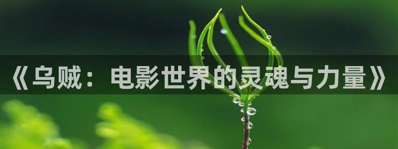 在线观看西瓜影院