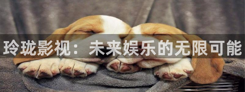 楚留香免费观看完整版西瓜