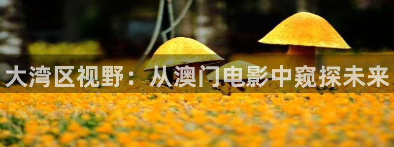 西瓜电影在线观看