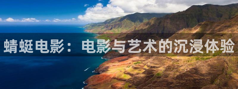 反转人生西瓜影院