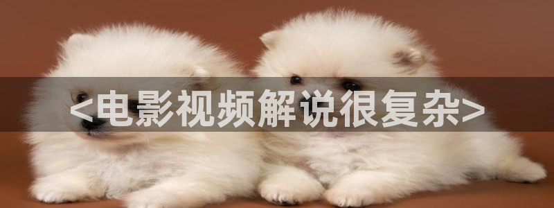因法之名西瓜免费观看
