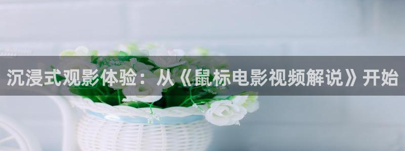 瞄准在线观看免费版电视剧西瓜