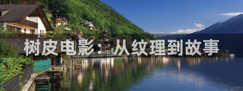 寻秦记电影版免费观看西瓜