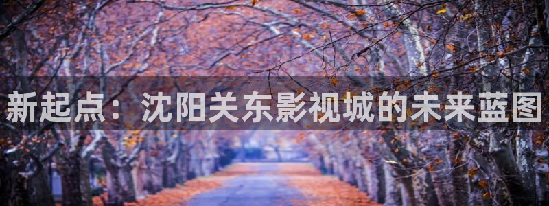 西瓜电影电视剧