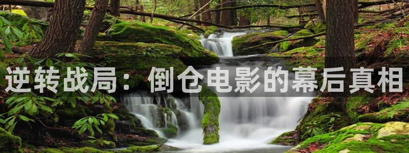 沉香如屑电视剧全集免费西瓜影院