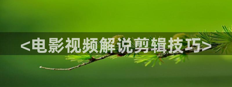 新闻图片